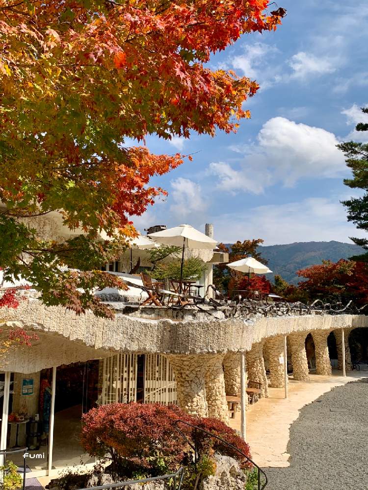 の画像 by fumiさん | 森林浴と青空と秋色と緑のある風景と紅葉フォトコン2020と秋晴れと休日と 紅葉と紅葉(こうよう)と素敵がいっぱいと河口湖