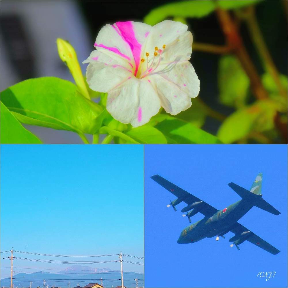 お出かけ先の画像 by PONJIさん | お出かけ先と飛騨市の皆さんにエールを♪とMyアルバムと航空自衛隊機と飛行機とお気に入りと新型コロナウィルスに負けるなとチーム岐阜とおうち園芸とコロナに負けるな!と下呂市の皆さんにエールを♪とオシロイバナ愛好家友の会と㊗️じゅんさん1900picと九州の皆さんにエールを♪と被災地にエールを…。とGSアダルトチーム