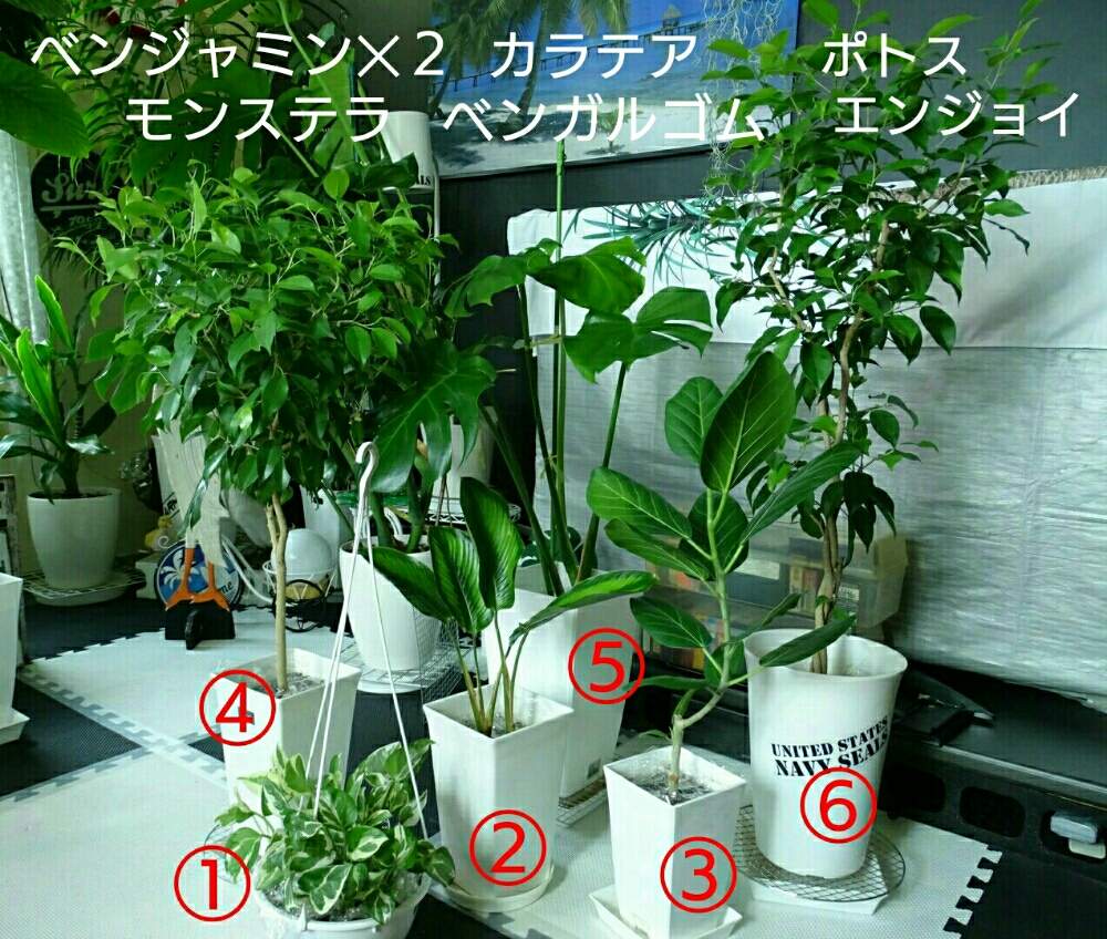 部屋の画像 by ヒロ♡0179さん | 部屋