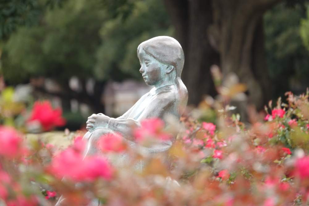 の画像 by serendipityrumiさん | バラと山下公園と赤い花とお出かけ