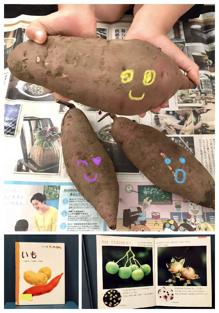 の画像 by ひま*たねさん | 親子で楽しむと食育と家庭菜園とおうちde菜園とおうち園芸と家庭菜園初心者と家庭菜園奮闘日記