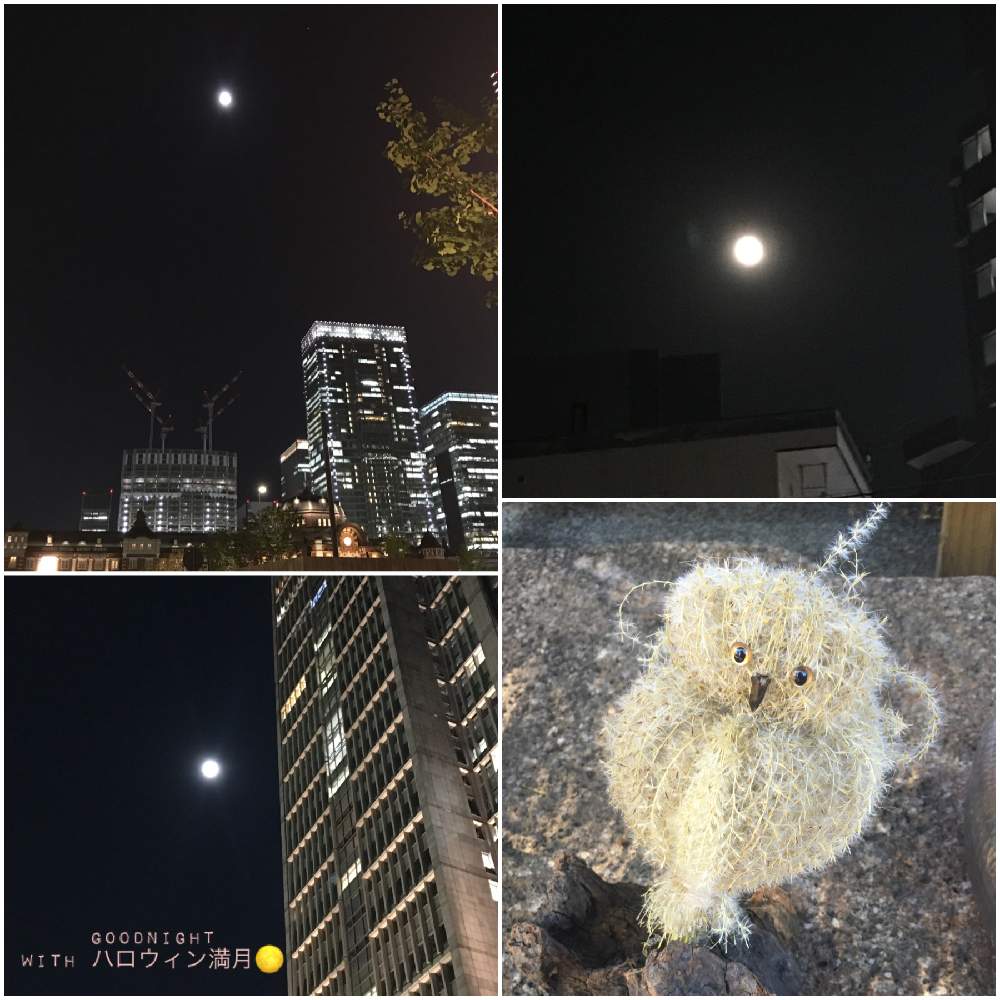 お出かけ先の画像 by ちゃーみぃさん | お出かけ先といつもありがとう♡とハロウィンとひやみかち首里城!とミッドナイト投稿と頑張れ❗️日本と東京駅
