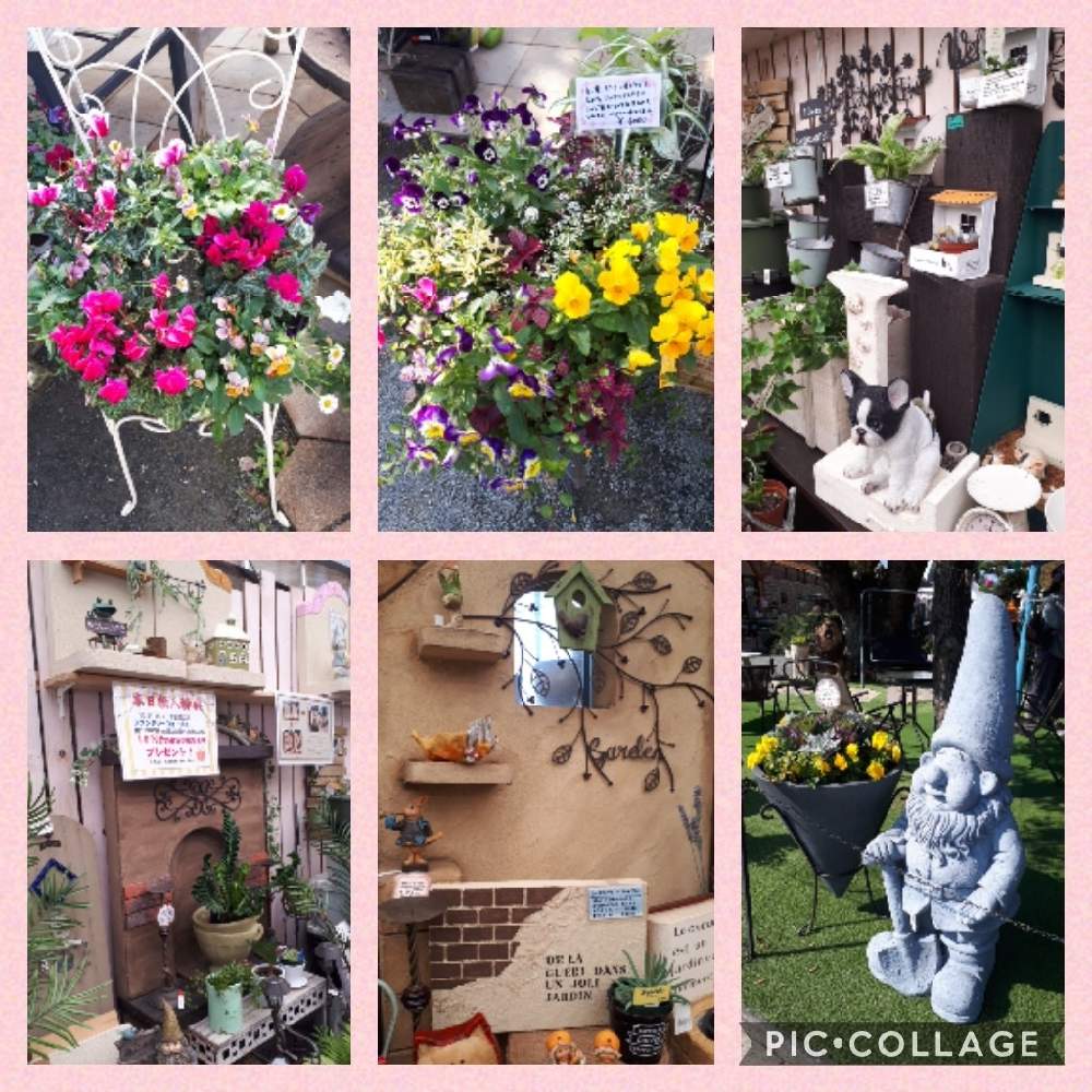 お出かけ先の画像 by Tomoさん | お出かけ先とロザリアン見習いと植中毒と雑貨好き♡と憧れの薔薇と花のある暮らしといいね♥ありがとうございます✨とチーム福岡