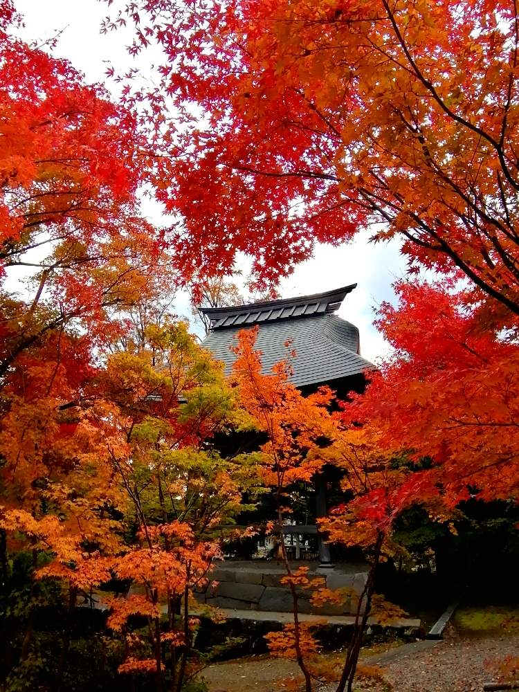 お出かけ先の画像 by ✨花鳥風月堂✨さん | お出かけ先と紅葉フォトコン2020と街歩きと飯山と燃ゆる秋と紅葉(こうよう)と北信濃と長野県と寺巡りとあきと遊歩道