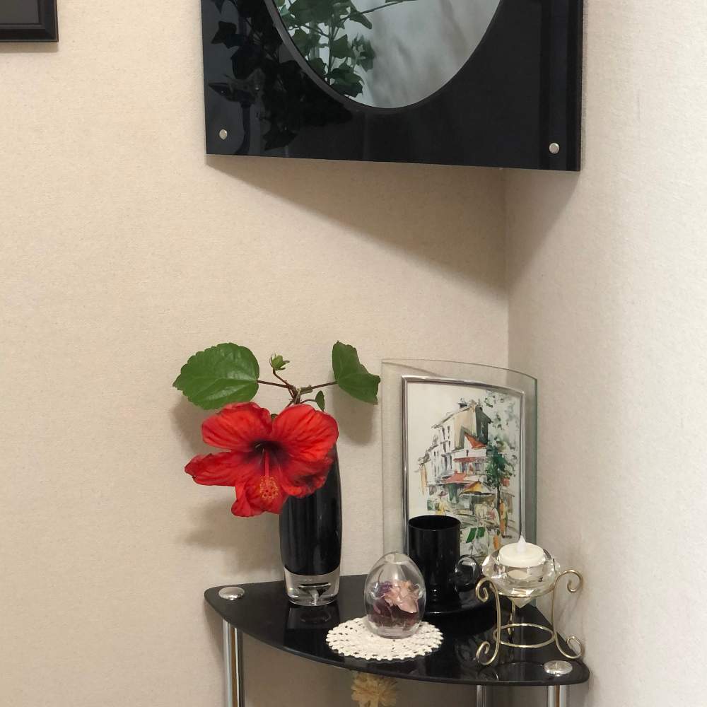インテリアの画像 by Grace Placeさん | インテリアとハイビスカス(仏桑華)と花言葉と花のある暮らしと誕生花とGS映え