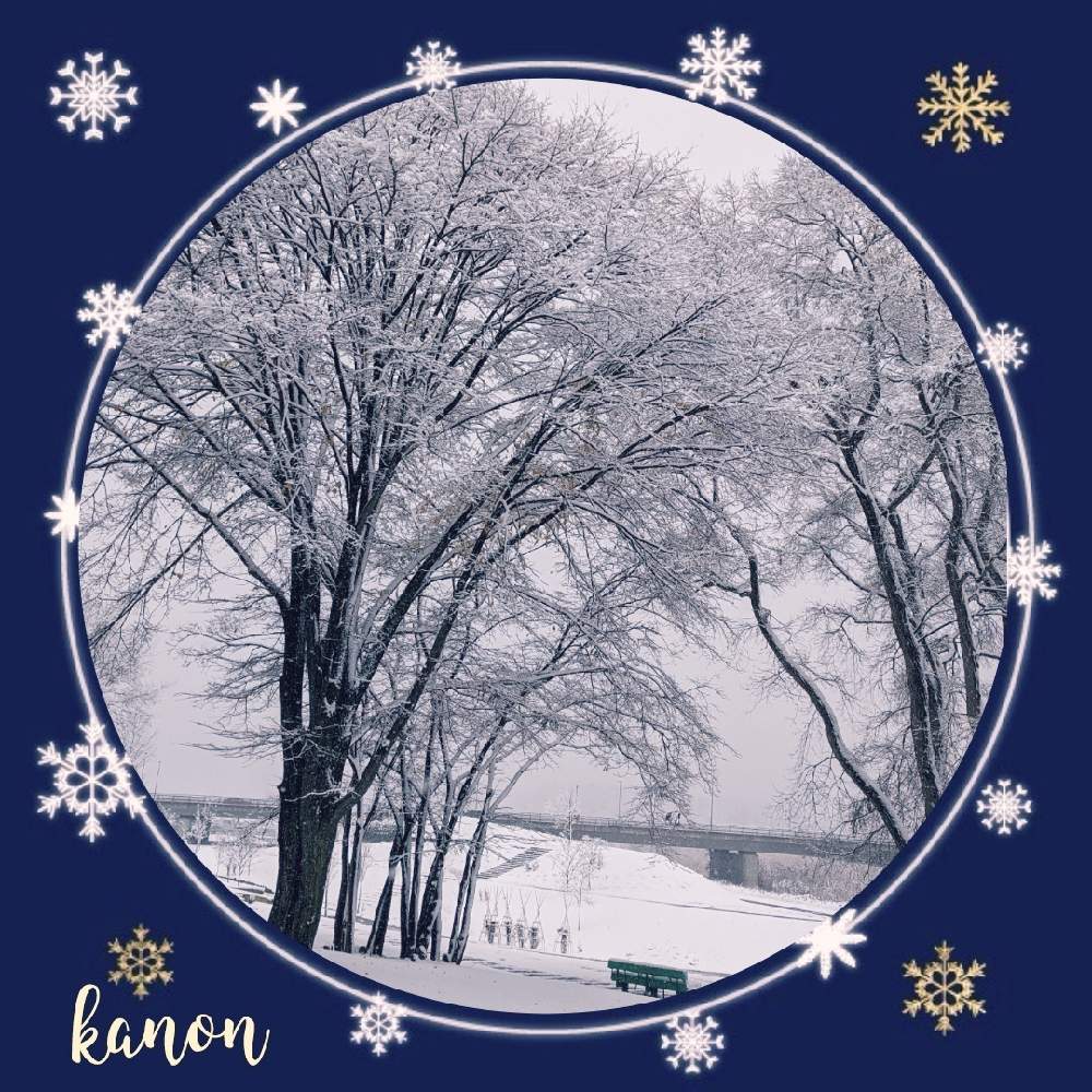 お出かけ先の画像 by 花音さん | お出かけ先とモノクロの世界と冬の景色と雪景色とコロナに負けないとぼちぼちと…と北海道と小さな幸せと繋がりに感謝✨