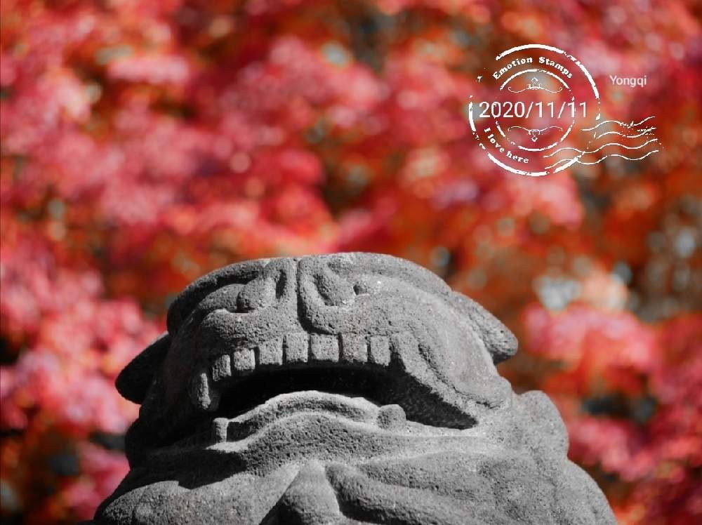 お出かけ先の画像 by ゆうき wojiao yongqiさん | お出かけ先と長野県岡谷市と紅葉(こうよう)と老眼鏡使用と早く日常の生活にともみじ紅葉