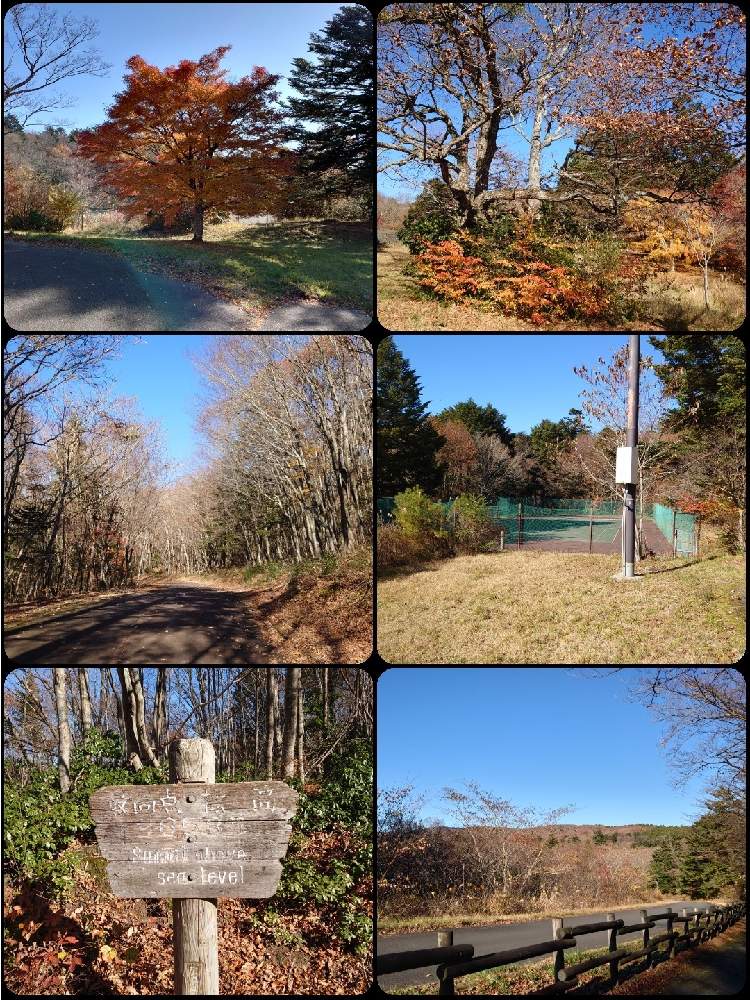 お出かけ先の画像 by 天空のバラの五線譜さん | お出かけ先と散歩と幸せな日
