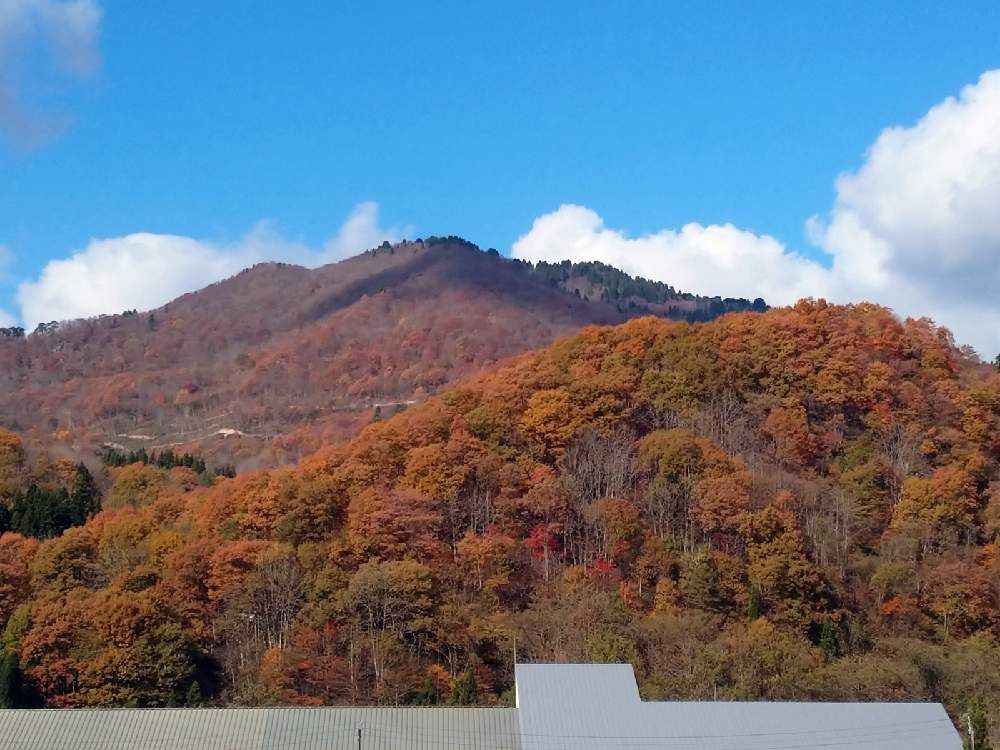 の画像 by やぎ座さん | 田舎暮らしと新潟県