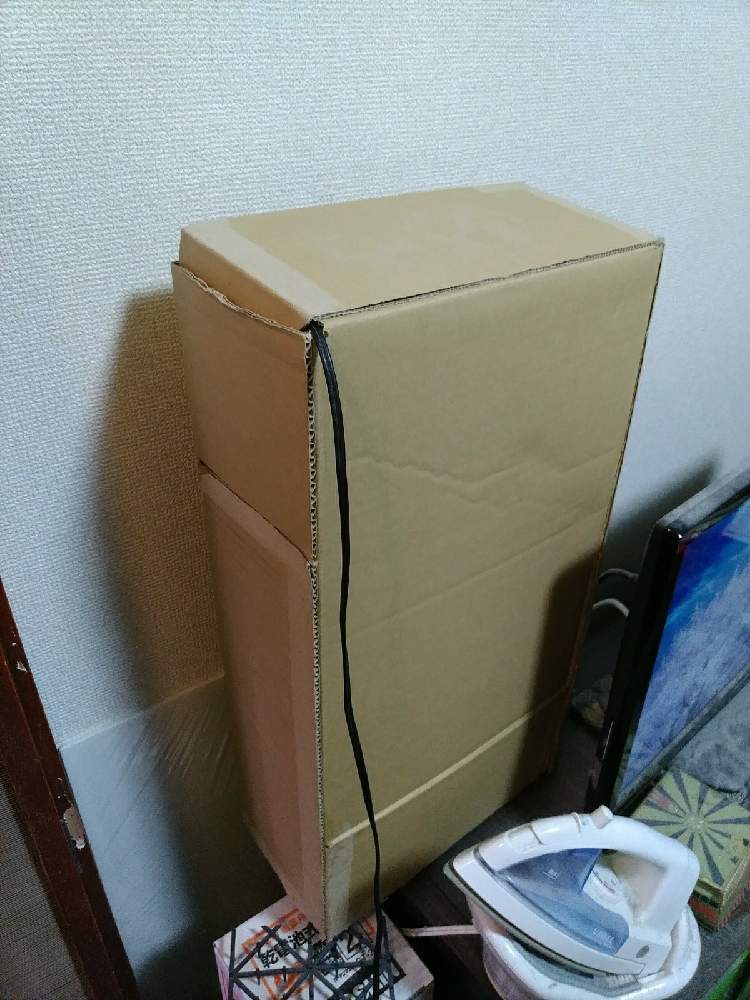 部屋の画像 by 338さん | 部屋とヤシと珍ヤシ