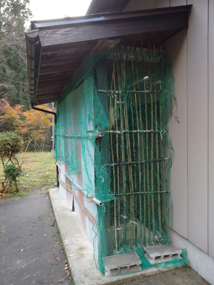 の画像 by やぎ座さん | 田舎暮らしと新潟県とサルと夫と私
