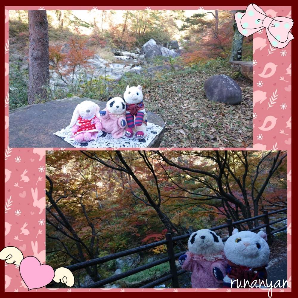 お出かけ先の画像 by るなにゃんさん | お出かけ先と紅葉とぬいぐるみと紅葉(こうよう)とみるくともみじ紅葉と昇仙峡とぬい撮り