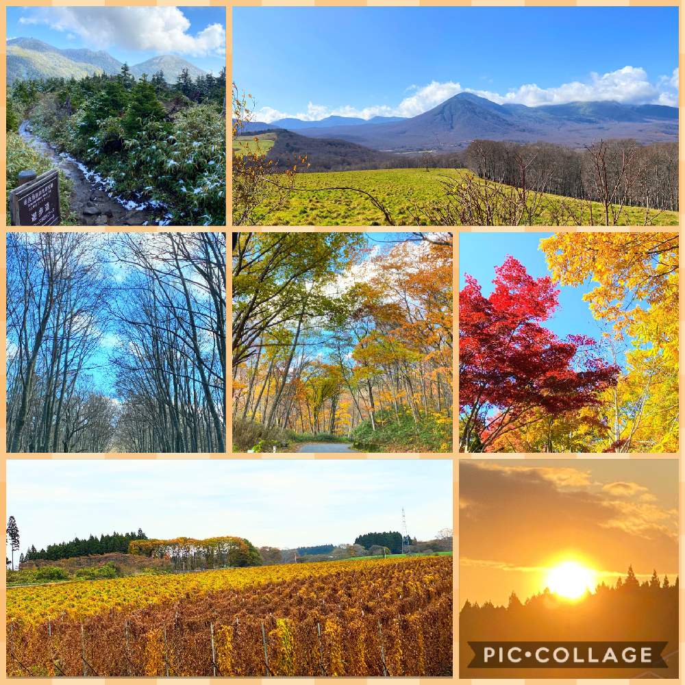 お出かけ先の画像 by リカステさん | お出かけ先と紅葉フォトコン2020とキュンキュン乙女倶楽部と医療・介護の皆様に感謝とベランダガーデンとひやみかち首里城!とベランダ果樹と妄想倶楽部と森ガール森ボーイと奥入瀬渓流とグリーンの癒しの力と花のある暮らしと八甲田山とGS植物うちなーぐち会