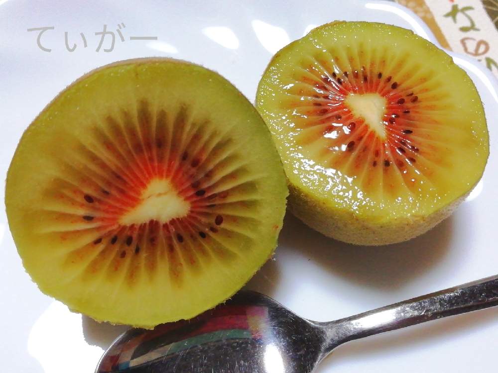 キッチンの画像 by ティガーさん | キッチンとキウイと最前線のあなたへと美味しさいっぱいとかわいいのが好きとコロナに負けるな!と接写が好きとシンプルが好きと植物好きと花のある暮らしと自然の不思議