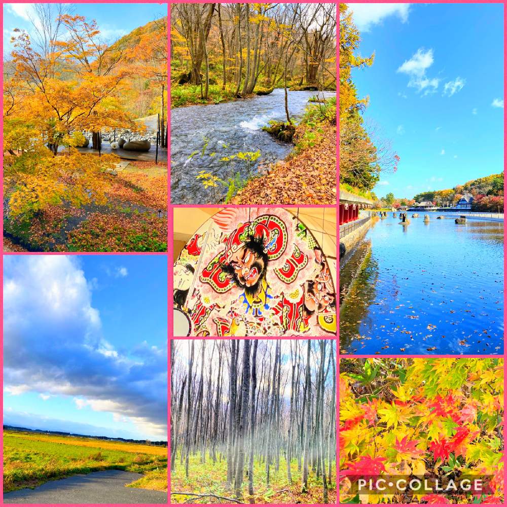 お出かけ先の画像 by リカステさん | お出かけ先と紅葉フォトコン2020とキュンキュン乙女倶楽部と医療・介護の皆様に感謝とベランダガーデンとひやみかち首里城!とベランダ果樹とグリーンカーテンと妄想倶楽部と森ガール森ボーイと奥入瀬渓流とグリーンの癒しの力と花のある暮らしとGS植物うちなーぐち会
