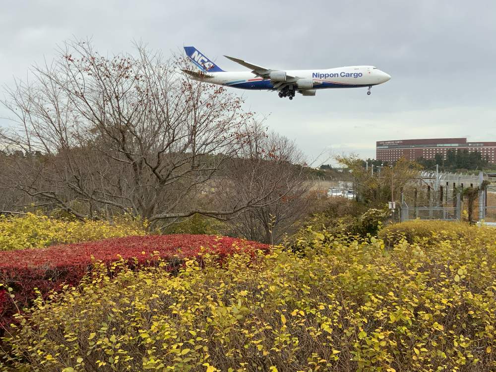 お出かけ先の画像 by ピカピカさん | お出かけ先とB-747F