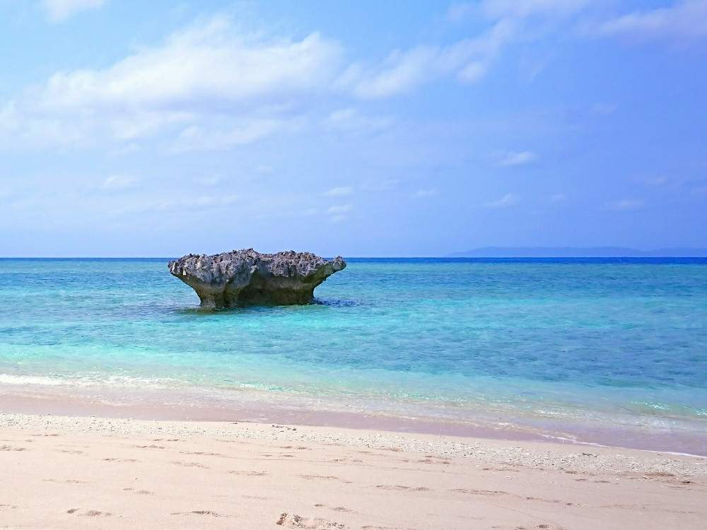 お出かけ先の画像 by toshi17さん | お出かけ先としあわせ色とスマホ撮影とお写んぽとBlue WorldとSouthernResortと華やかと可憐とGS映えとHGWと癒される♪と爽やか~と元気色と綺麗と鮮やか とNEWチーム横浜とおきなわん