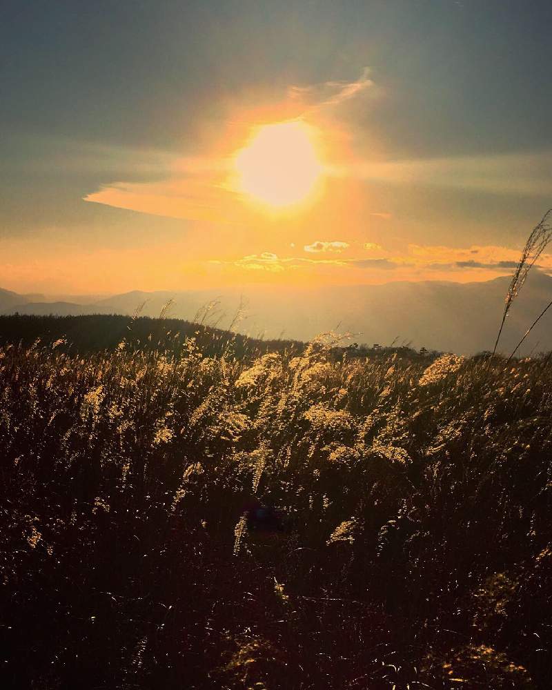 お出かけ先の画像 by 日曜大工さん | お出かけ先と山の中の景色と里山大好き協会と野草と山のある風景と妄想倶楽部と夕暮れと1,000万枚突破とセダムセット希望