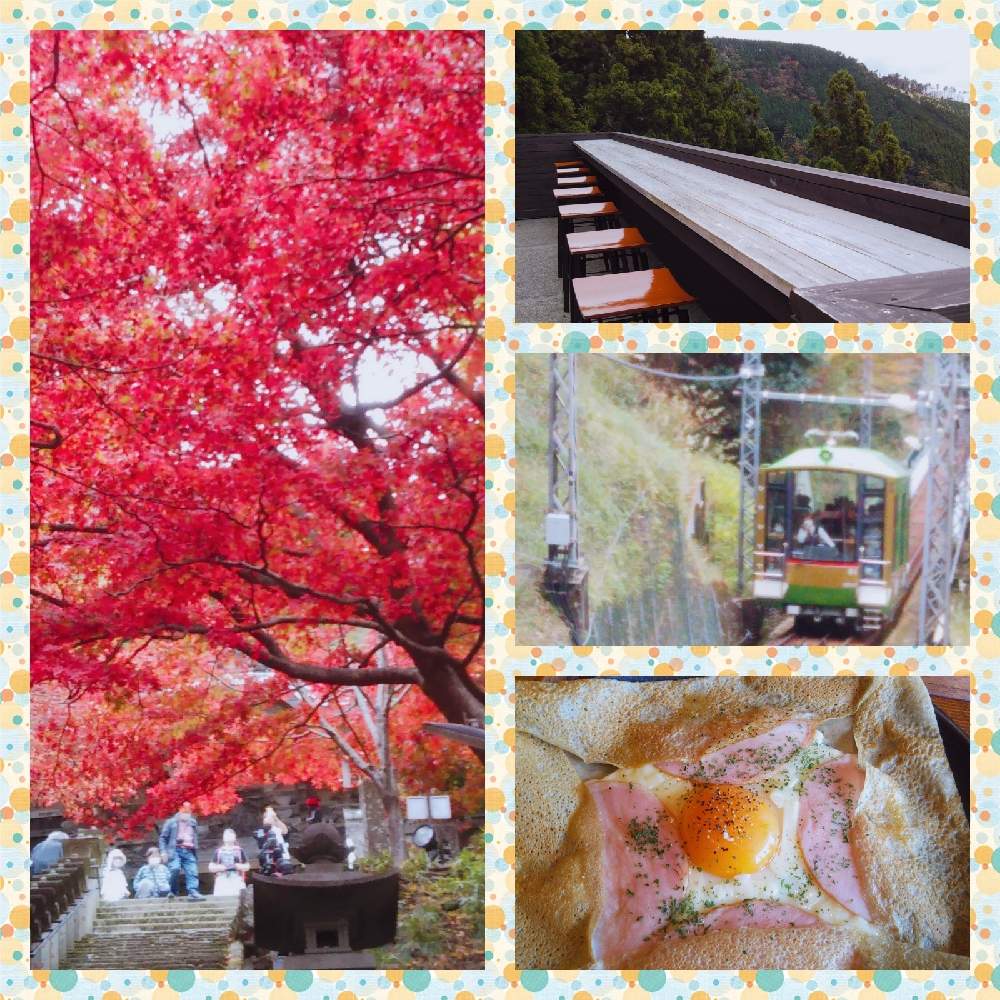 お出かけ先の画像 by フレンチトーストさん | お出かけ先と秋景色と紅葉が素敵❣️とカフェランチとお寺と神社と山から見る景色と素晴らしい景色!と紅葉(こうよう)と紅葉狩りとケーブルカー