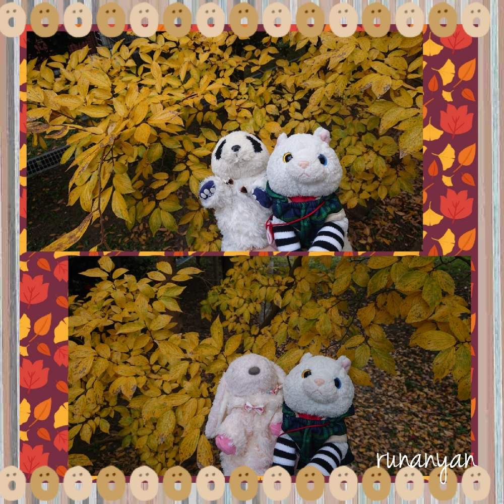 お出かけ先の画像 by るなにゃんさん | お出かけ先と紅葉と花さんぽとご近所さんぽ、とぬいぐるみと紅葉(こうよう)とご近所とみるくとぬい撮り