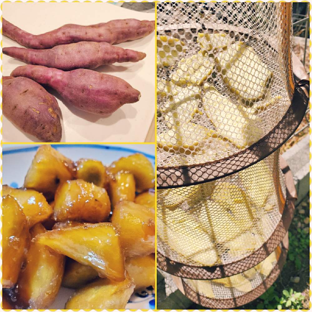の画像 by miri☆*.+゚さん | サツマイモといただきものとおいしくなぁ〜れとお料理しました✨とGS初心者!