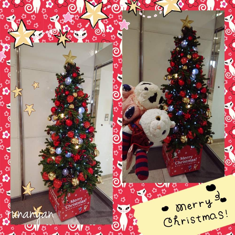 お出かけ先の画像 by るなにゃんさん | お出かけ先とクリスマスツリー♡とクリスマスツリーとご近所さんぽ、とぬいぐるみとご近所とみるくとぬい撮り