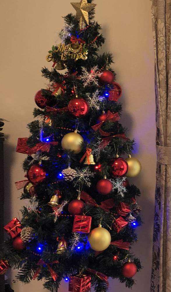 インテリアの画像 by るぅさん | インテリアとクリスマスツリーと冬の楽しみとグリーン!グリーン!グリーン!とアートとおうち園芸とデコってみました