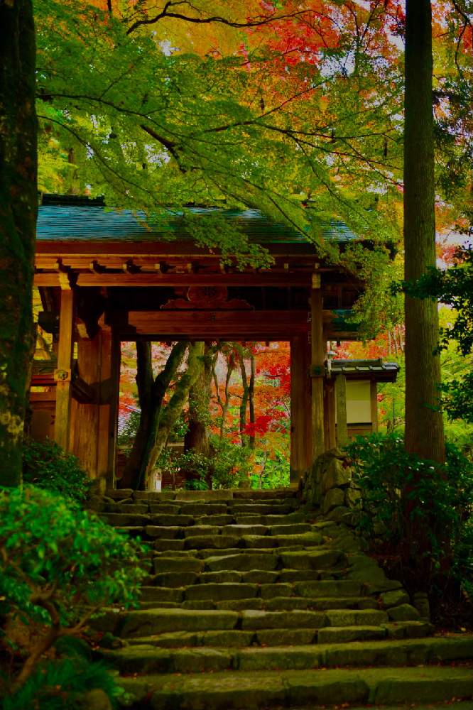 お出かけ先の画像 by Senchanさん | お出かけ先と紅葉と紅葉フォトコン2020と瑞宝寺公園と紅葉(こうよう)と有馬温泉と花のある暮らしと写真好きな人と繋がりたいと写真好きと山門