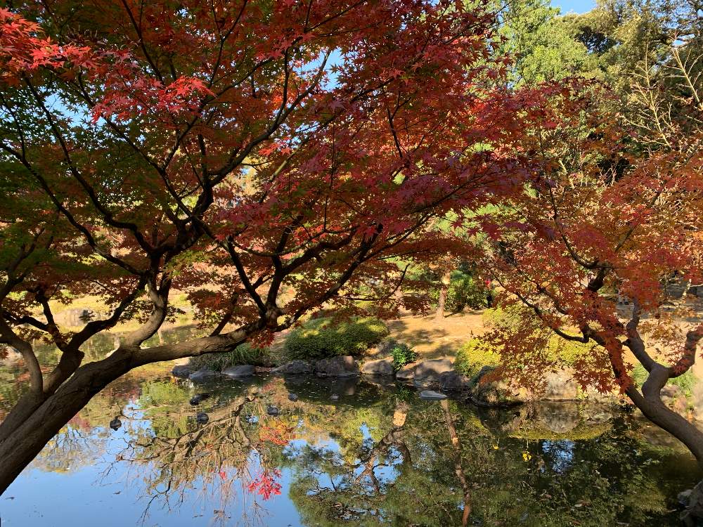 お出かけ先の画像 by ピカピカさん | お出かけ先と紅葉と被災地にエールを…。と九州の皆さんにエールを♪と下呂市の皆さんにエールを♪と台風10号に負けるな‼️