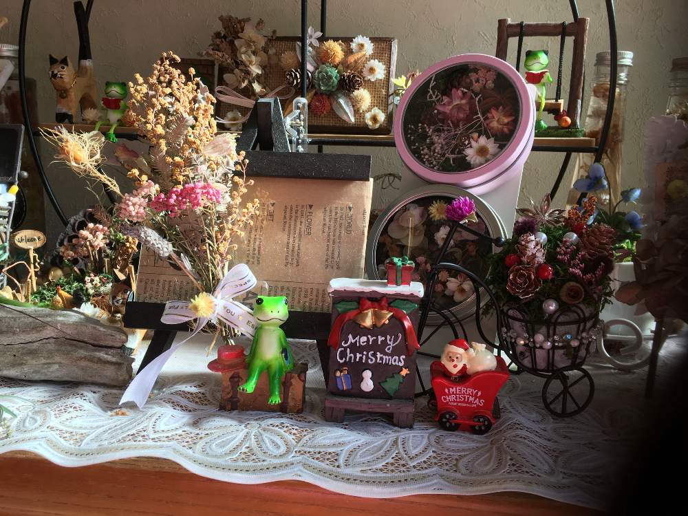 インテリアの画像 by EMI tu CHI (えみっち)さん | インテリアとHappy Christmas⭐️とおうちde菜園と★ Merry Christmasと緑のある暮らしと紫大好き♪とMerry Christmasと花のある暮らしと見てくれてありがとう♡とGREEN UP!