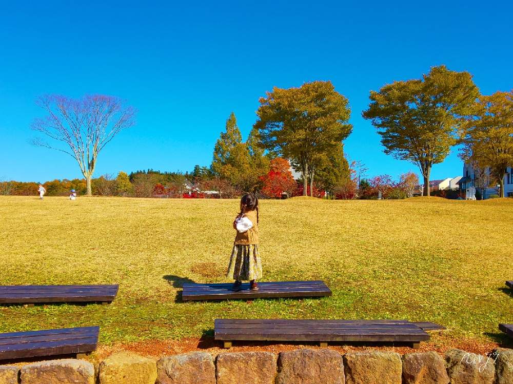 お出かけ先の画像 by PONJIさん | お出かけ先と飛騨市の皆さんにエールを♪とMyアルバムと㊗️じゅんさん2100picとお気に入りと新型コロナウィルスに負けるなとチーム岐阜と岐阜・大垣とコロナに負けるな!と牧歌の里と九州の皆さんにエールを♪と被災地にエールを…。とGSアダルトチームと1,000万枚突破とビオラ苗ケース希望
