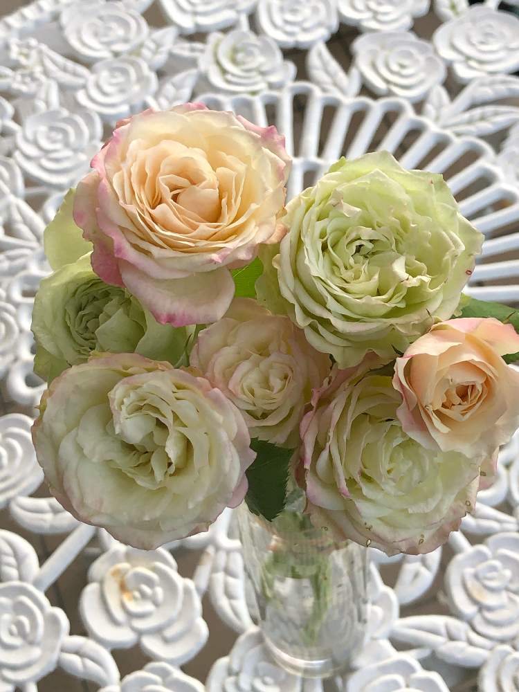 の画像 by うふふさん | ばら バラ 薔薇と薔薇に魅せられてとうふふの切花品種の薔薇とバラのある暮らしと薔薇が好き❤とお花が好き♡と森農園 切り花品種と月曜日にはバラをと薔薇 リモーネスターとGSでバラ園と花のある暮らしとチーム愛知と自己大満足♡