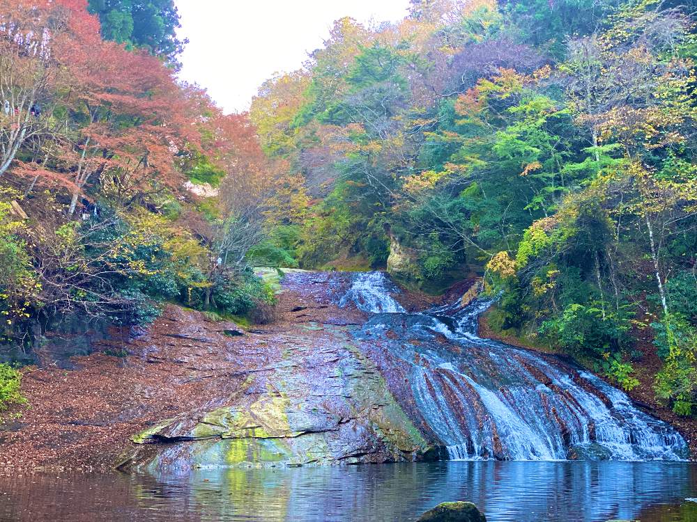 お出かけ先の画像 by みわぞぅさん | お出かけ先ともみじ紅葉と風景写真と紅葉フォトコン2020と養老渓谷とカラーリーフと癒しとGS映えと美しいグラデーション