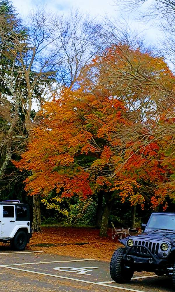 お出かけ先の画像 by クッキーさん | お出かけ先と花のある暮らしと紅葉狩りとナチュラルガーデンに憧れと綺麗な景色に癒されて