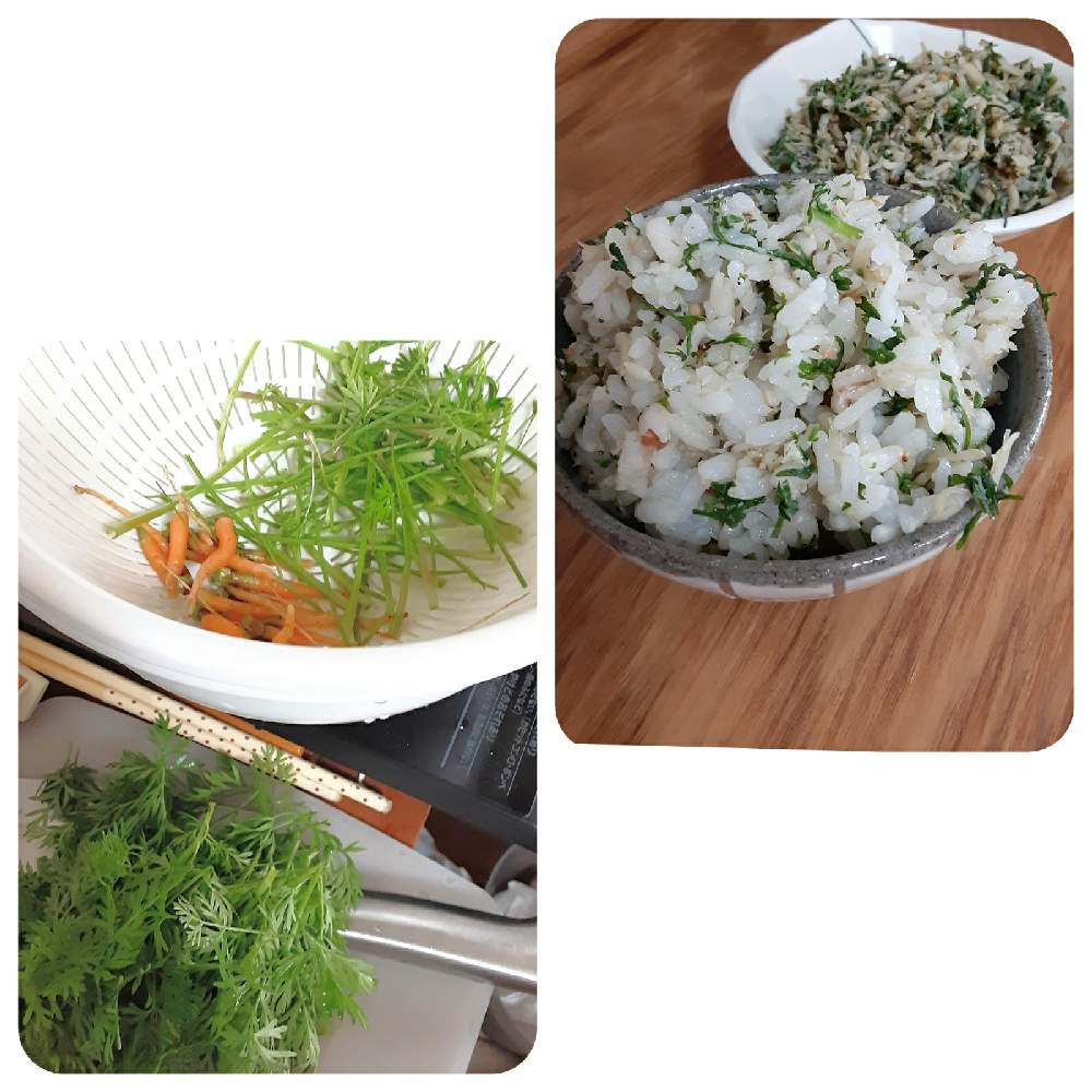 キッチンの画像 by 五月garden☆さん | キッチンと葉っぱふりかけと間引き人参と間引き菜とにんじんとはじめての…