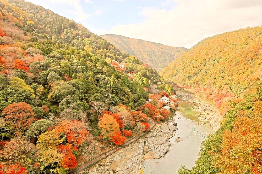 お出かけ先の画像 by 平佐さん | お出かけ先と紅葉と紅葉フォトコン2020とファインダー越しの私の世界と散歩と絶景とおでかけ先
