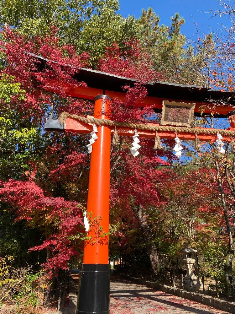 お出かけ先の画像 by ゆーみんさん | お出かけ先と紅葉と紅葉フォトコン2020