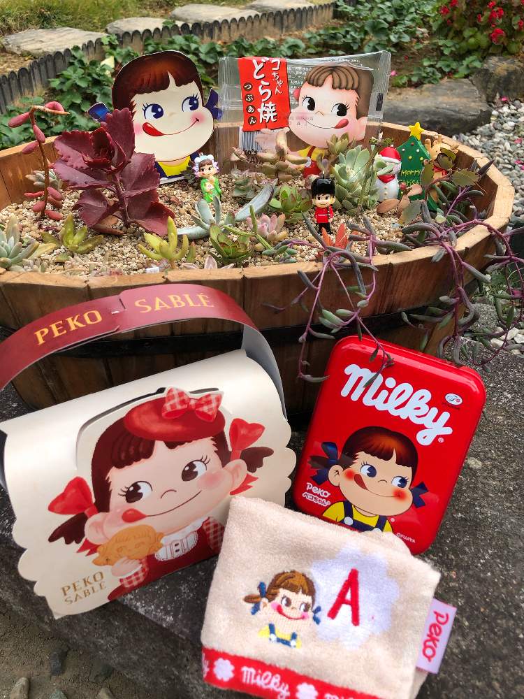 の画像 by やっちゃんさん | ペコちゃん祭りとおうちde菜園とおうち園芸とキュンキュン乙女倶楽部No.279と多肉女子と花のある暮らしとチーム・ブルーNo.036とiPhone撮影