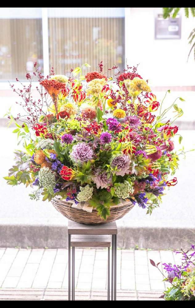 部屋の画像 by 【秦野市の花屋】フローリストせきどさん | 部屋とフローリストせきどと秦野市の花屋と癒しと癒し…とPLAZA花物語とGS映えと大好きと秦野市とGSのみなさんに感謝♡と癒しの空間と今日のお花と癒し空間とビタミン Fと癒し…♡と花のある暮らしといやされるとかわいいな♡とお花屋さんとフラワーギフトと花束