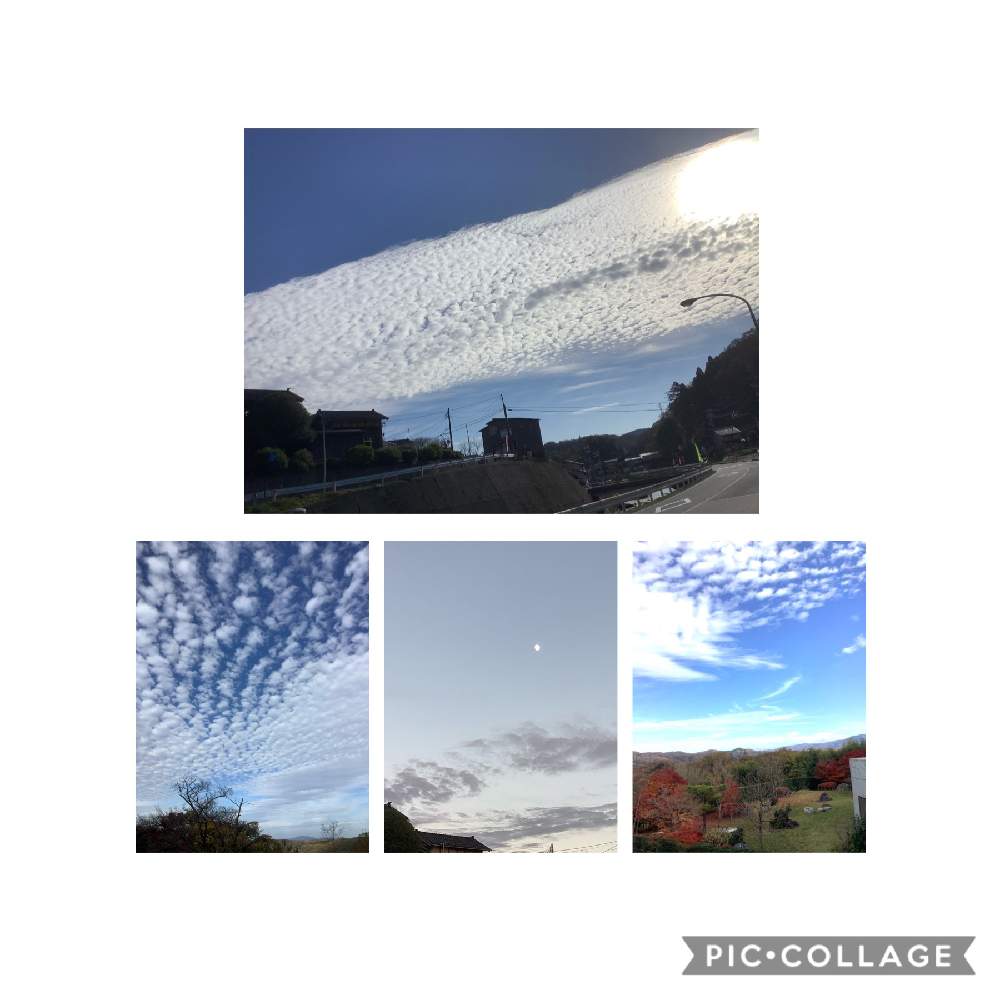 の画像 by まーさんさん | 草の草と道端徘徊同盟とチーム石川と森のがっこうと森の負けないぞ❗️