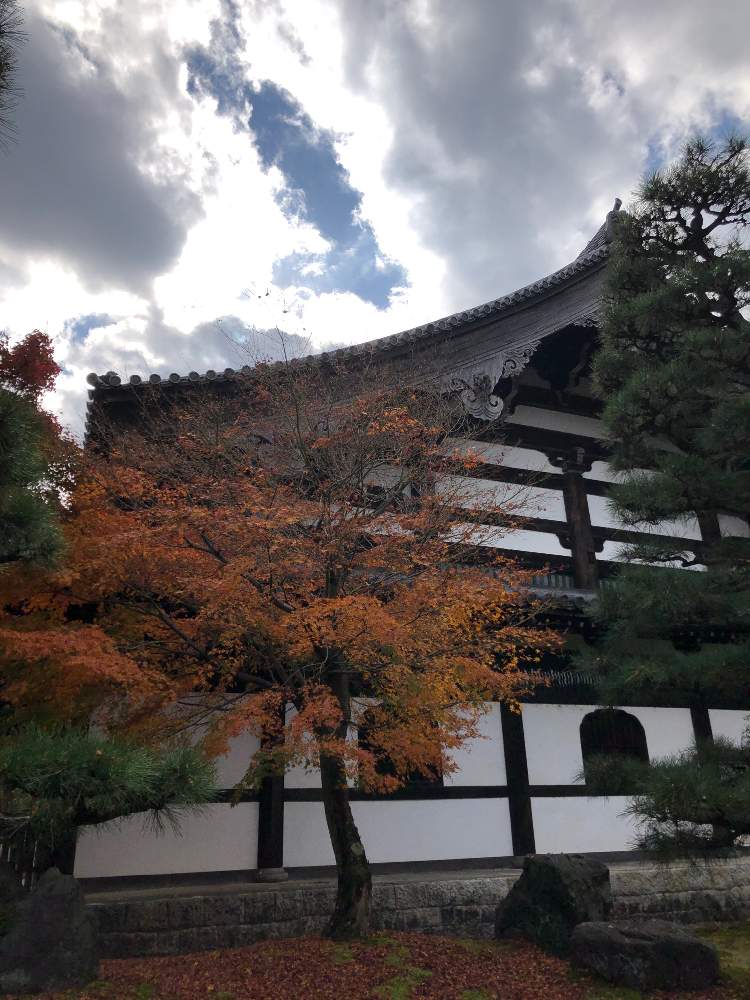 お出かけ先の画像 by kkswanさん | お出かけ先と京都 東福寺と紅葉フォトコン2020