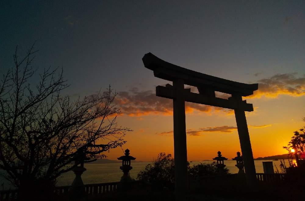 お出かけ先の画像 by 陽だまりの中で……さん | お出かけ先と海のある風景と木のある風景と空を……☆★☆