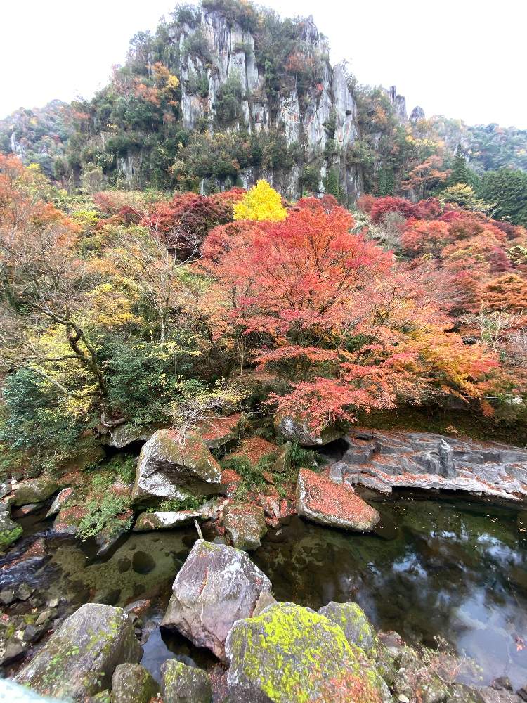 お出かけ先の画像 by Cocoさん | お出かけ先と深耶馬溪と紅葉フォトコン2020