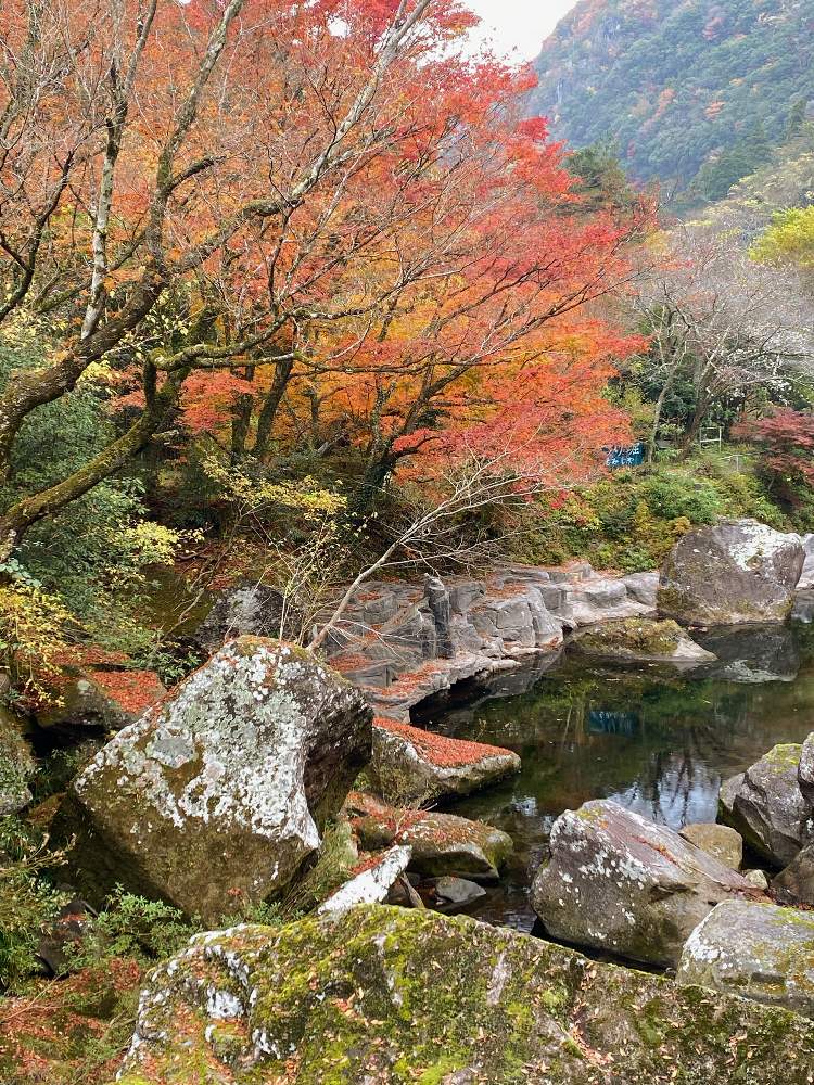 お出かけ先の画像 by Cocoさん | お出かけ先と深耶馬溪と紅葉フォトコン2020