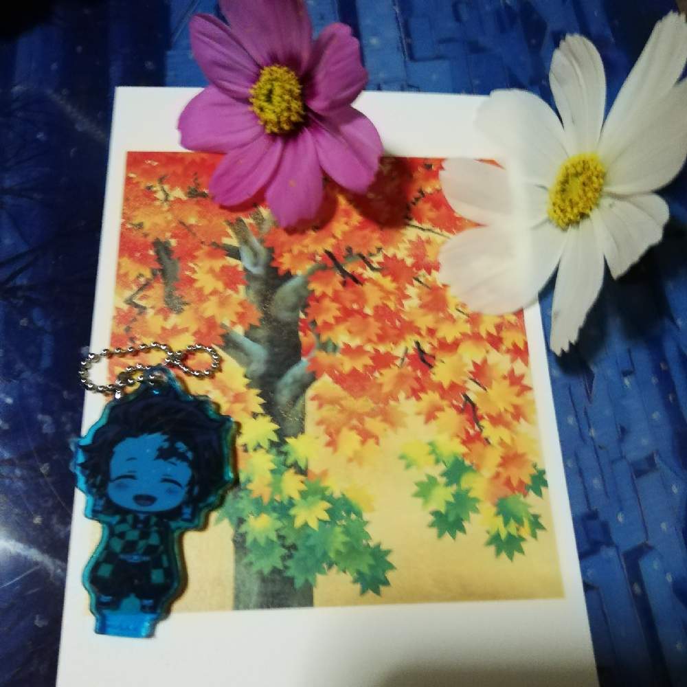 部屋の画像 by リリーさん | 部屋とモミジと秋桜(コスモス)と癒やされると絵葉書と美しい紅葉と鬼滅の刃「無限列車」と竈炭治郎ちゃんと花のある暮らしと鬼滅の刃