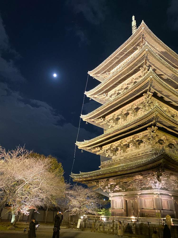 お出かけ先の画像 by pagu mamaさん | お出かけ先と紅葉フォトコン2020と教王護国寺東寺