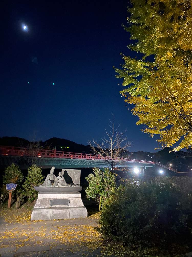 お出かけ先の画像 by ゆーみんさん | お出かけ先と街路樹の紅葉と黄色く色付く木々と紅葉フォトコン2020