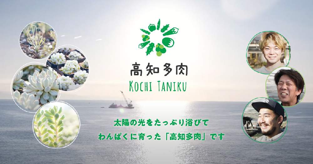 インテリアの画像 by GreenSnapSTORE公式さん | インテリアと多肉植物。と多肉植物と多肉男子とくぼファームと高知県と多肉植物生産者さんと高知多肉とおうち園芸と多肉女子とピックアップとエリオクエストと多肉寄せ植えと見元園芸