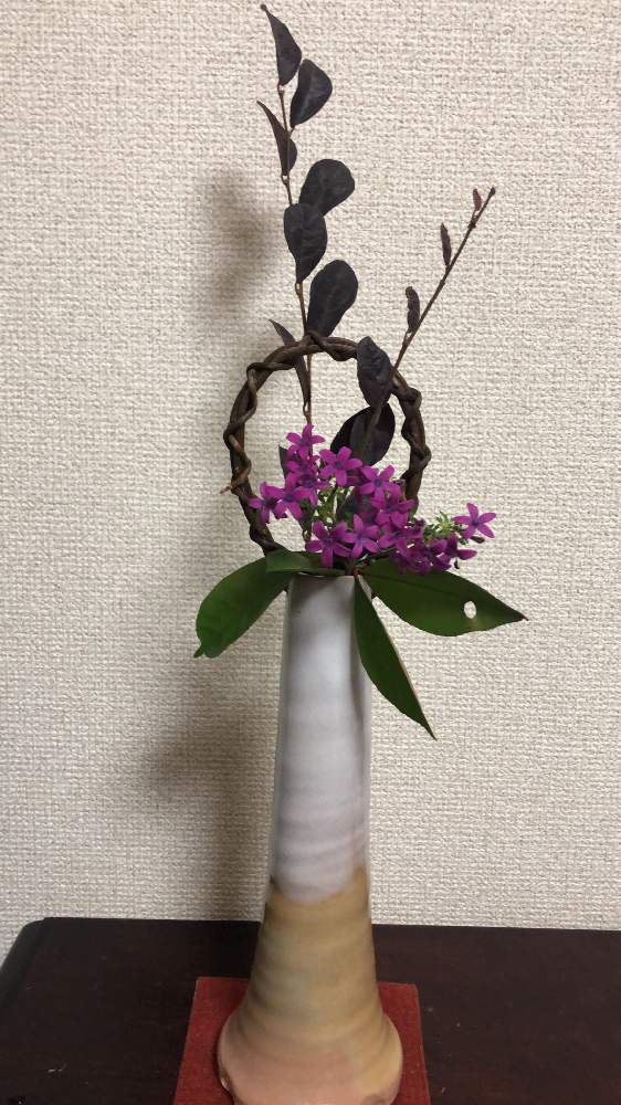 部屋の画像 by アロマさん | 部屋と天の恵と一輪挿しと医療・介護の皆様に感謝と投げ入れと花友さんから頂きましたと花のある暮らし