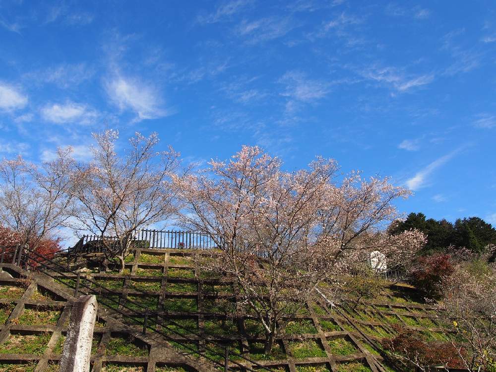 お出かけ先の画像 by 百日紅さん | お出かけ先と四季桜と公園と愛知県と里山と土曜の土手の日